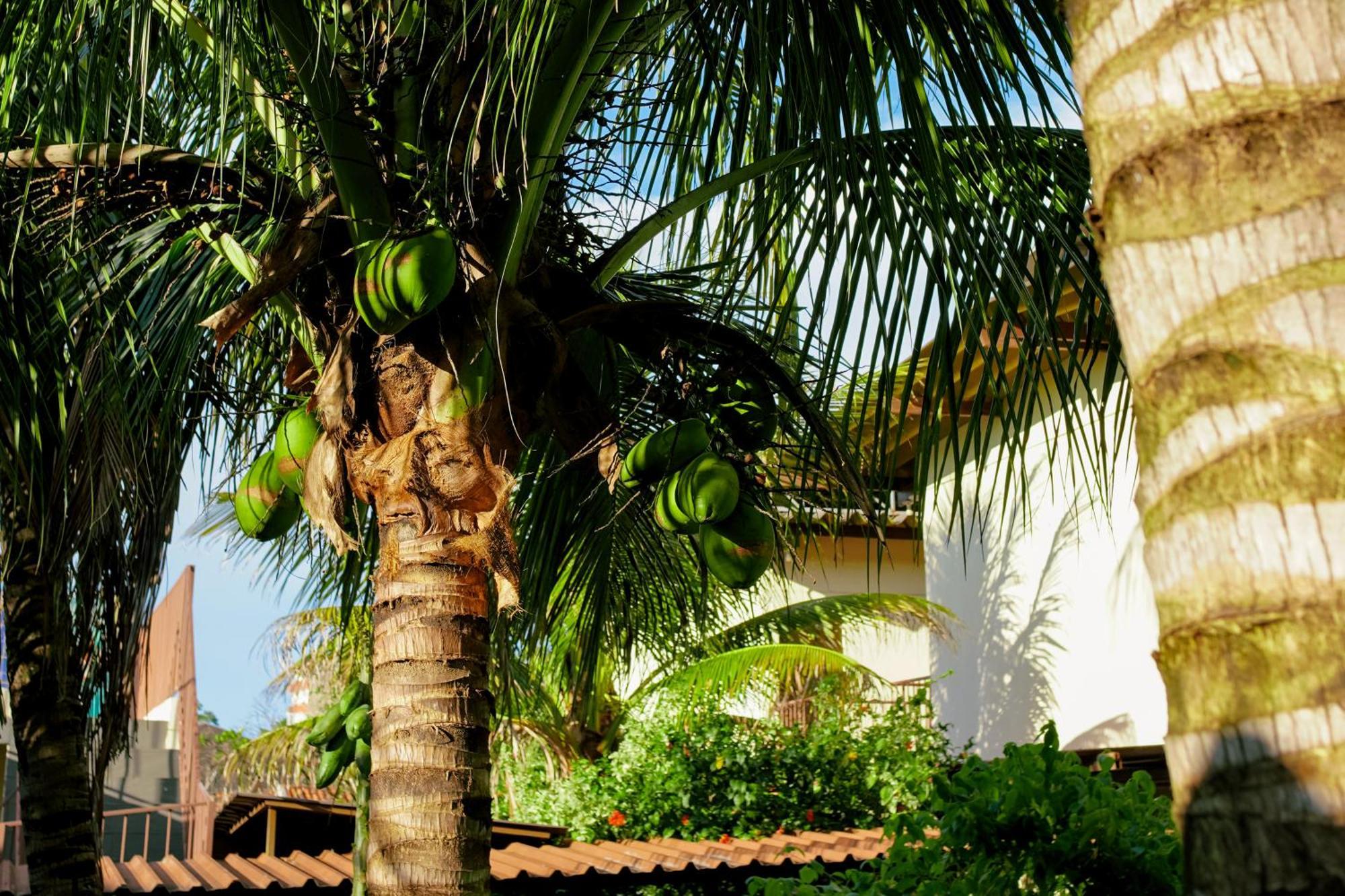 Velinn Hotel Natureza Foz Foz do Iguaçu Exterior foto