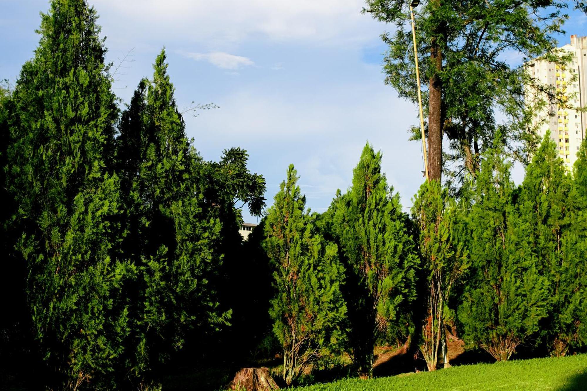 Velinn Hotel Natureza Foz Foz do Iguaçu Exterior foto